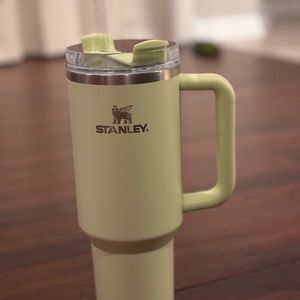 Mint green Stanley 40oz tumbler